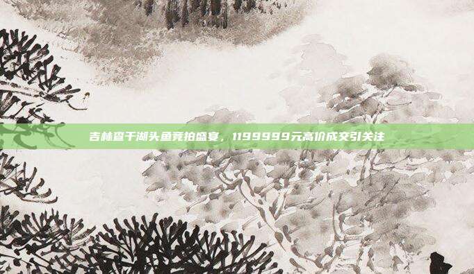 吉林查干湖头鱼竞拍盛宴，1199999元高价成交引关注