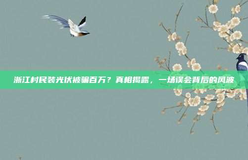 浙江村民装光伏被骗百万？真相揭露，一场误会背后的风波