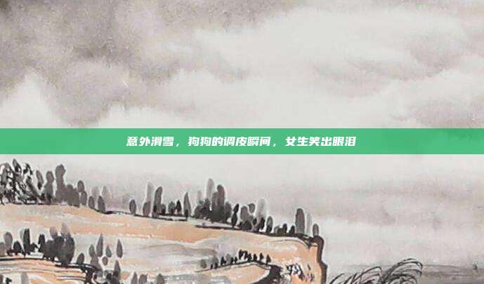 意外滑雪，狗狗的调皮瞬间，女生笑出眼泪