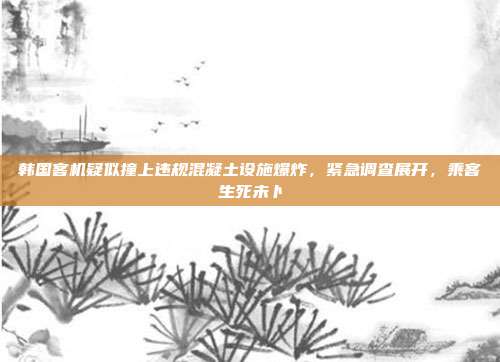 韩国客机疑似撞上违规混凝土设施爆炸，紧急调查展开，乘客生死未卜