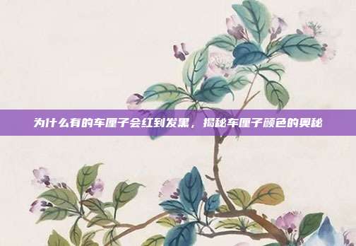 为什么有的车厘子会红到发黑，揭秘车厘子颜色的奥秘