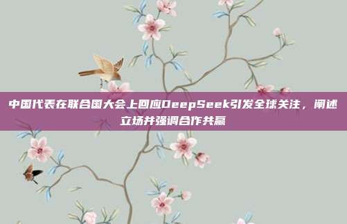 中国代表在联合国大会上回应DeepSeek引发全球关注，阐述立场并强调合作共赢