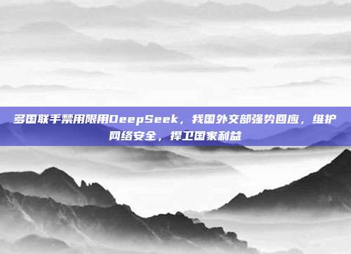 多国联手禁用限用DeepSeek，我国外交部强势回应，维护网络安全，捍卫国家利益