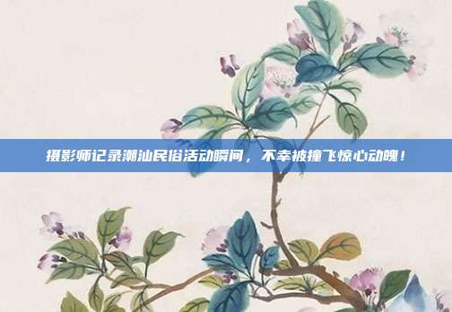 摄影师记录潮汕民俗活动瞬间，不幸被撞飞惊心动魄！