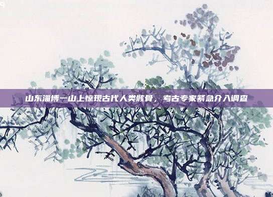 山东淄博一山上惊现古代人类骸骨，考古专家紧急介入调查