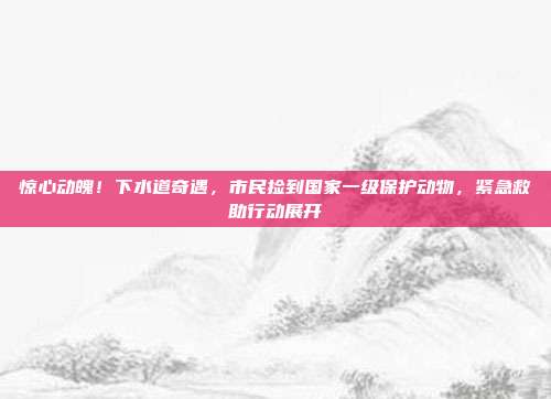 惊心动魄！下水道奇遇，市民捡到国家一级保护动物，紧急救助行动展开