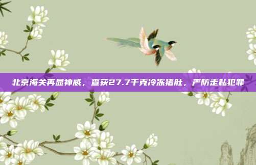 北京海关再显神威，查获27.7千克冷冻猪肚，严防走私犯罪