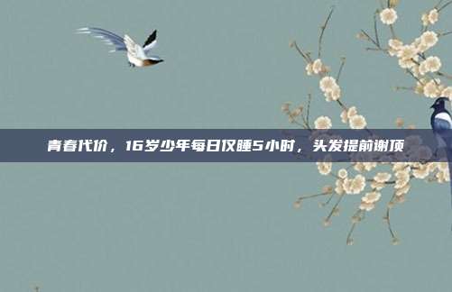 青春代价，16岁少年每日仅睡5小时，头发提前谢顶