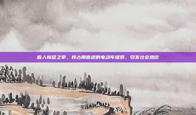 盲人愤怒之举，将占用盲道的电动车推倒，引发社会热议